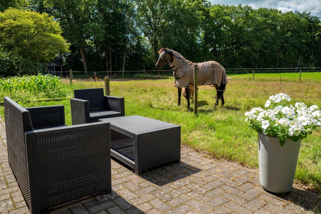 Tranquility Farm Villa Dalfsen Exterior photo
